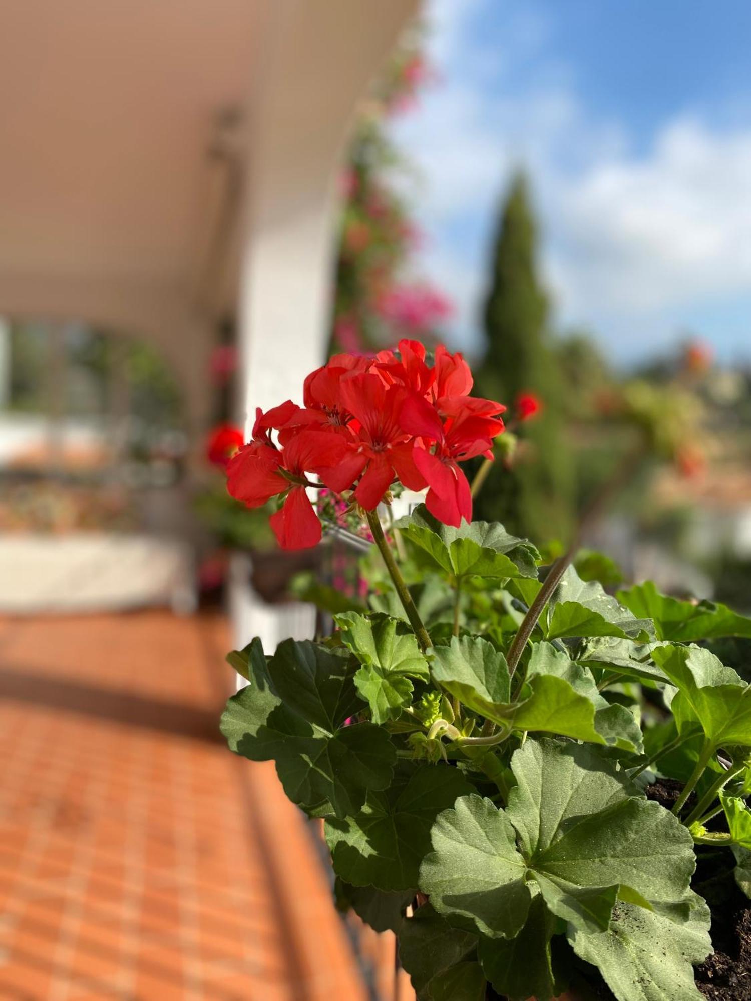 Casa Zawadi Mijas